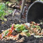 Cara Mudah Membuat Kompos di Rumah, Cukup Gunakan Organik Hijau dan ...