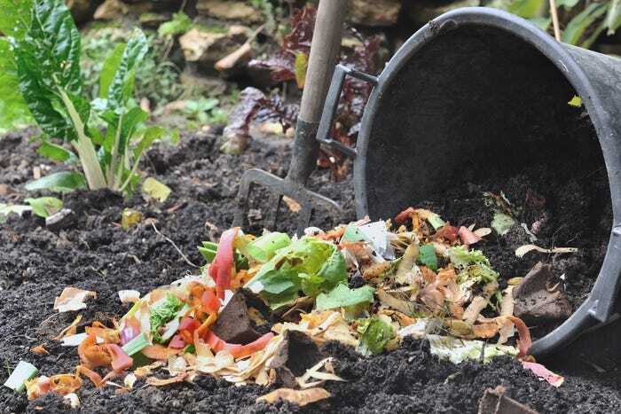 Cara Mudah Membuat Kompos di Rumah, Cukup Gunakan Organik Hijau dan ...