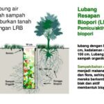 Buatlah Lubang Biopori untuk Menabung Air | BeritaBojonegoro.com