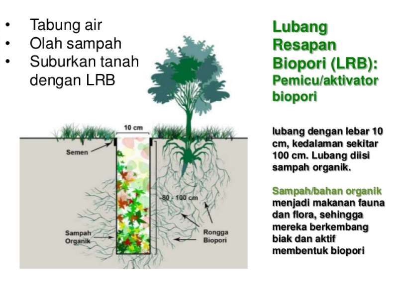 Buatlah Lubang Biopori untuk Menabung Air | BeritaBojonegoro.com