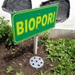 5 Manfaat Biopori Bagi Manusia dan Lingkungan, Cara Membuatnya! - Sonora.id