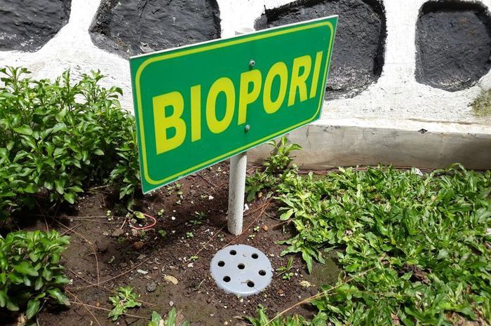 5 Manfaat Biopori Bagi Manusia dan Lingkungan, Cara Membuatnya! - Sonora.id