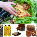 Apa Itu Kompos Rumahan? Panduan Super Lengkap untuk Pemula