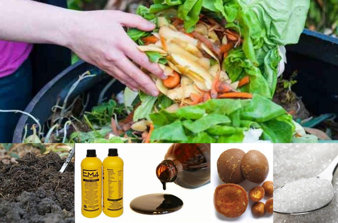 Apa Itu Kompos Rumahan? Panduan Super Lengkap untuk Pemula