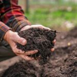 Membedah Mitos Dan Fakta Seputar Kompos Rumahan (Spoiler Tidak Bau!)