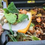 Cara Membuat Pupuk Kompos dari Sisa Limbah Sayuran dan Buah, Mampu ...