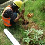 Takakura Vs Biopori Mana Yang Lebih Cocok Untuk Rumah Tanpa Halaman?