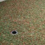 Takakura Vs Biopori Mana Yang Membutuhkan Perawatan Lebih Intensif?