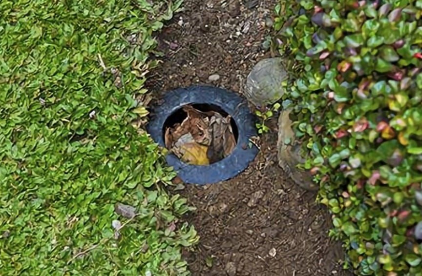 Takakura Vs Biopori (Head-To-Head Terlengkap)