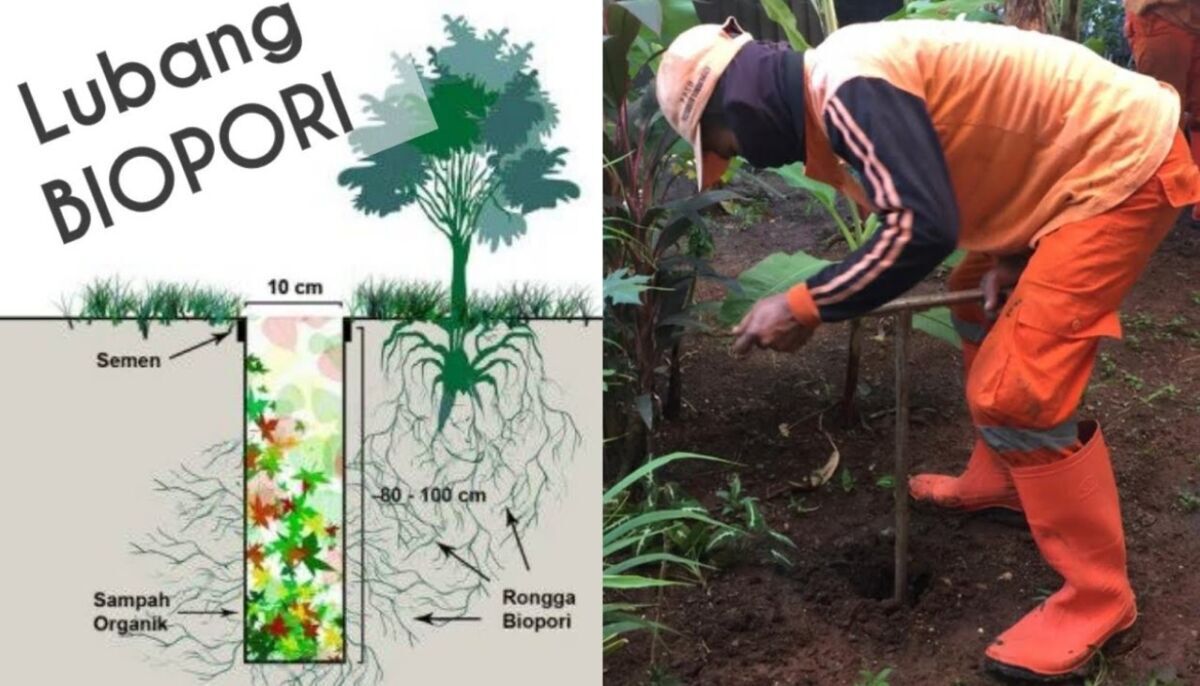 Takakura Vs Biopori Perbandingan Biaya Awal (Modal) Pembuatan