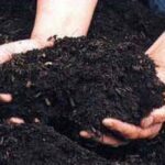 Troubleshooting Takakura Mengapa Komposter Saya Bau Busuk?