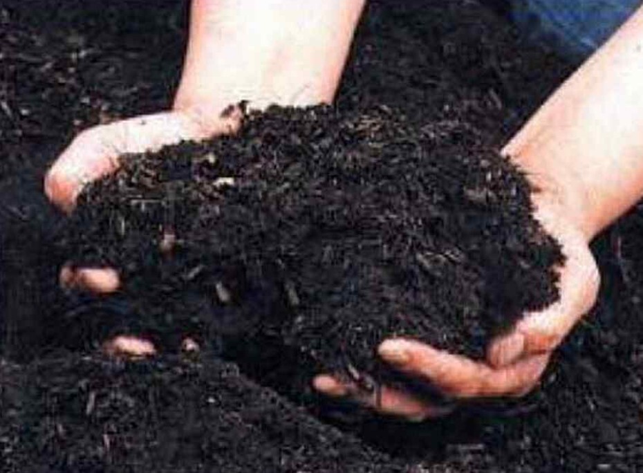 Troubleshooting Takakura Mengapa Komposter Saya Bau Busuk?