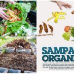 (PDF) MEMBUAT KOMPOS DENGAN METODE TAKAKURA (Making Compost With The ...