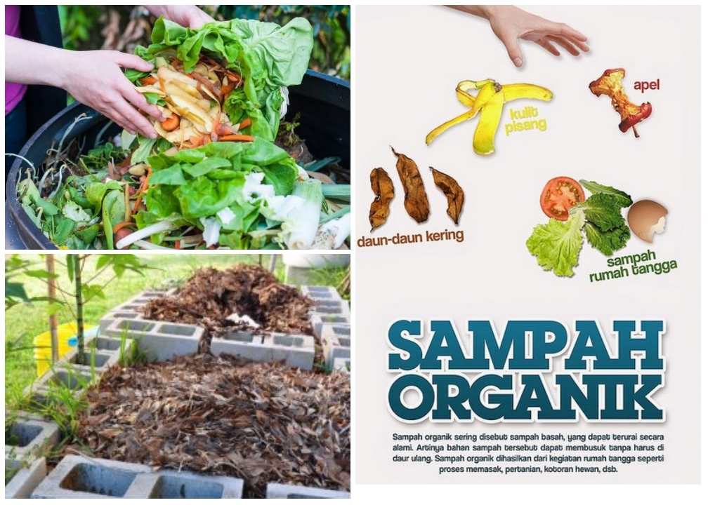 (PDF) MEMBUAT KOMPOS DENGAN METODE TAKAKURA (Making Compost With The ...
