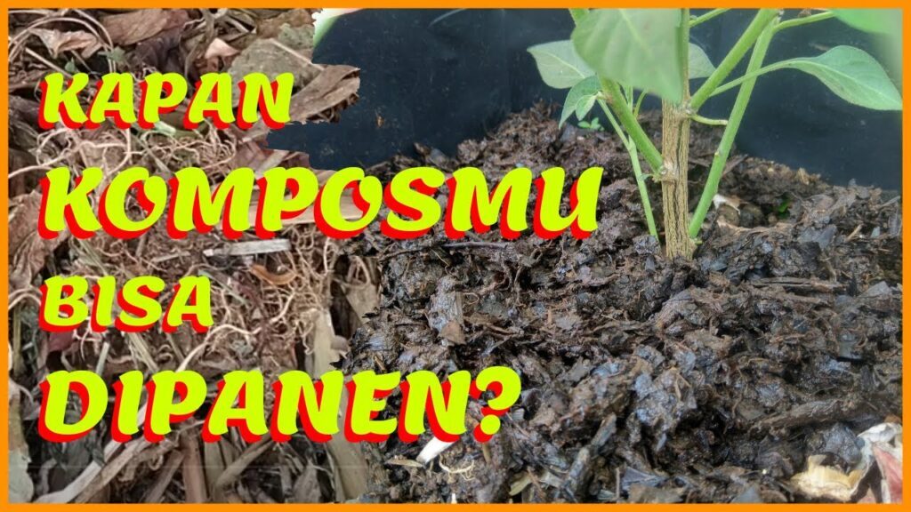 CARA MEMBUAT KOMPOS DARI DEDAUNAN AGAR TIDAK BECEK DENGAN EMBER BEKAS ...
