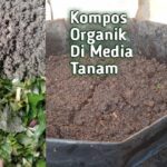 Kompos Takakura | PDF