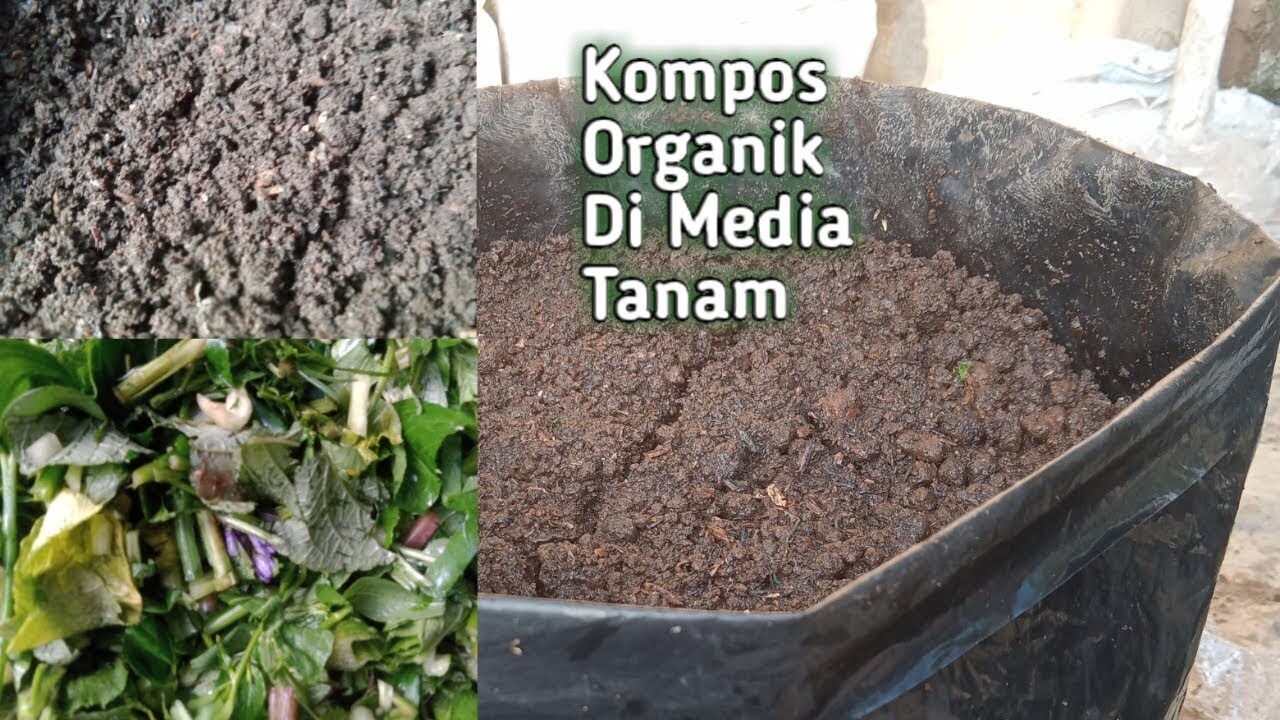 Kompos Takakura | PDF Kompos Takakura | PDF