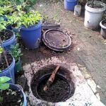 Panen pupuk kompos di lobang biopori jumbo,Hidroponik botol bekas - YouTube